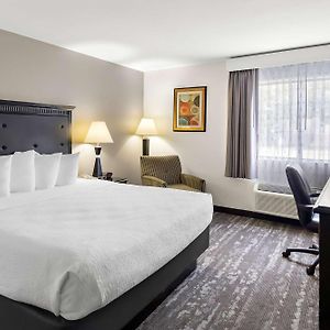Best Western Saluki Inn